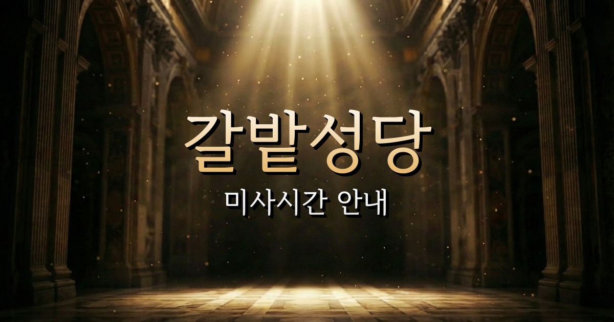 갈밭성당 미사시간 | 대구대교구 1