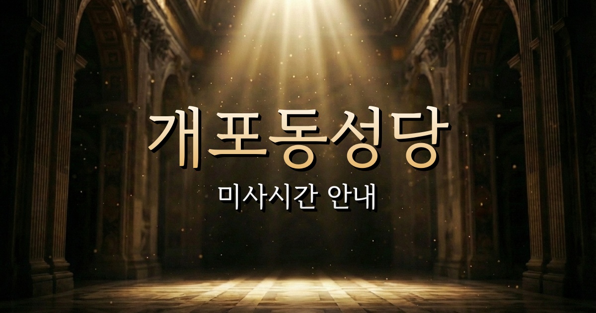 개포동성당 미사시간 | 서울대교구 2