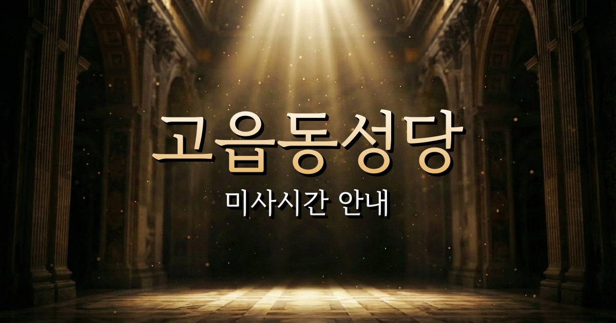 고읍동성당 미사시간 안내 | 의정부교구 2