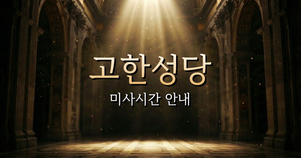고한성당 미사시간 | 원주교구 1