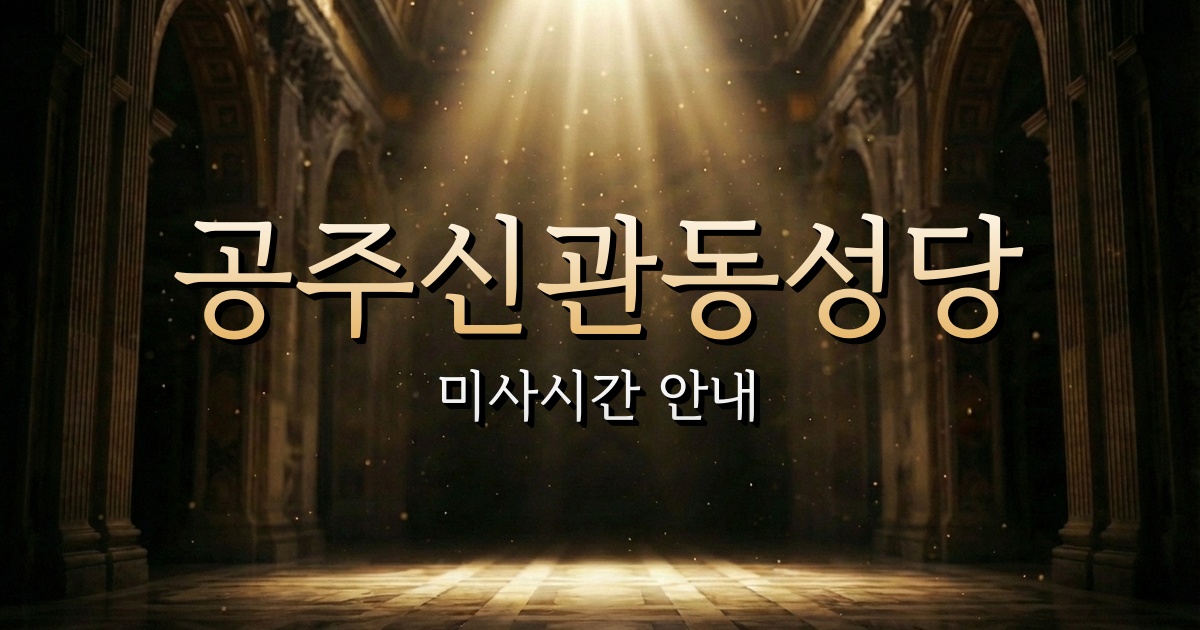 공주신관동성당 미사시간 | 대전교구 1