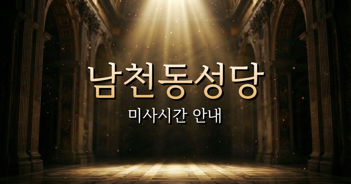 남천동성당 미사시간 | 청주교구 4