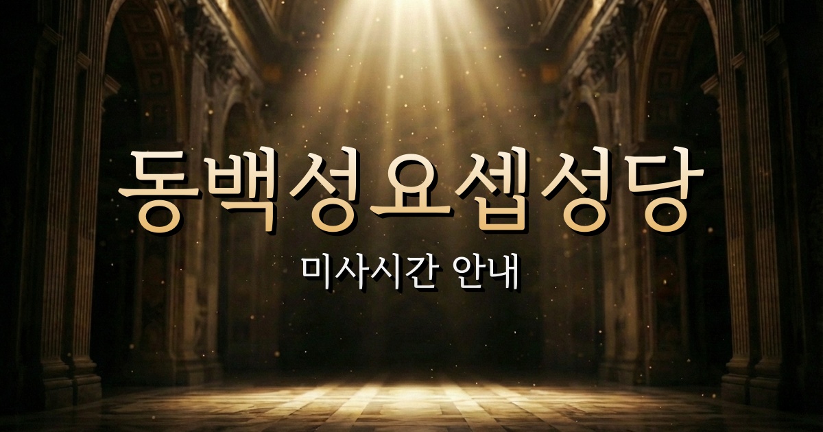 동백성요셉성당 미사시간 | 수원교구 1