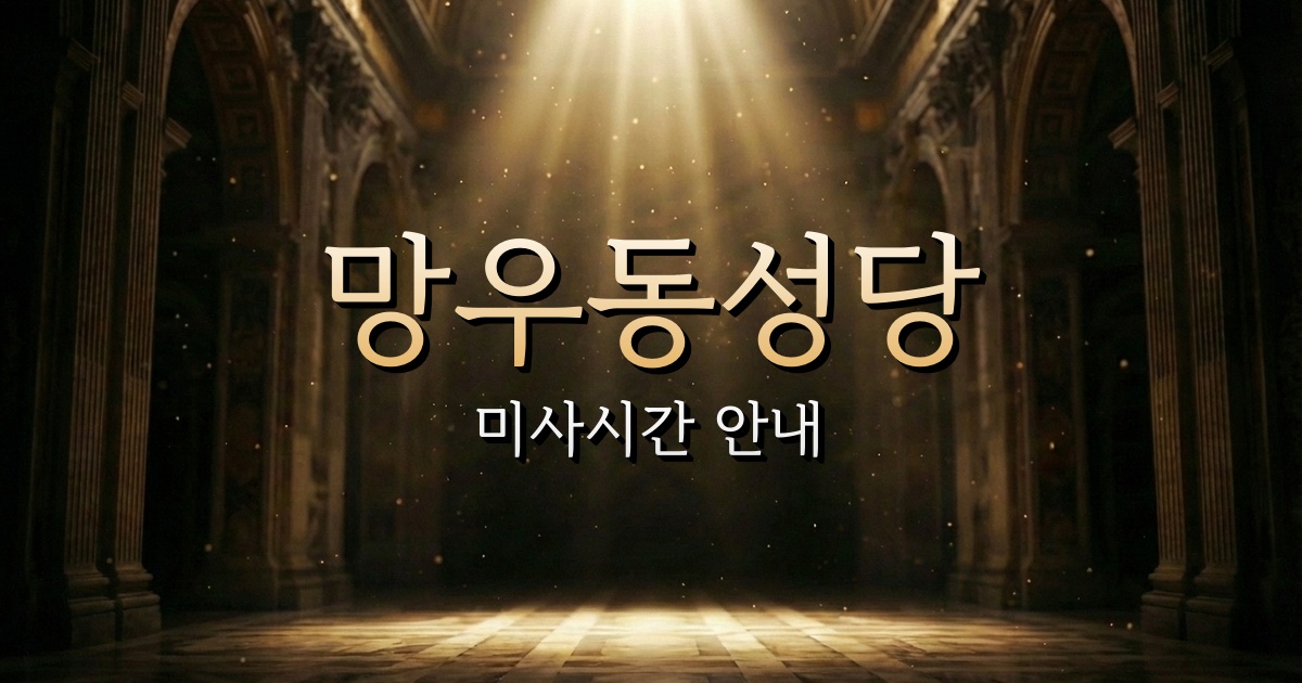 망우동성당 미사시간 | 서울대교구 1