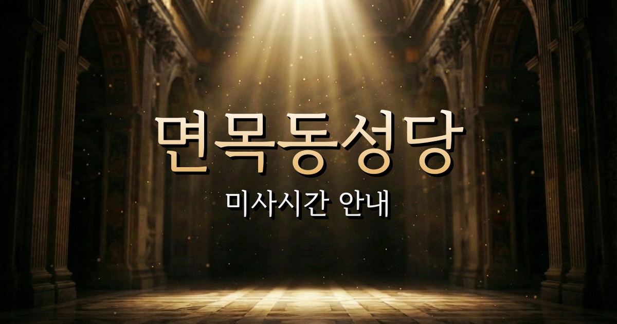 면목동성당 미사시간 | 서울대교구 1