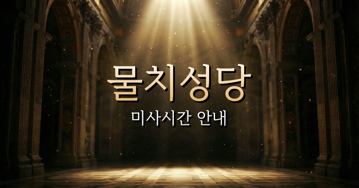 물치성당 미사시간 | 춘천교구 1