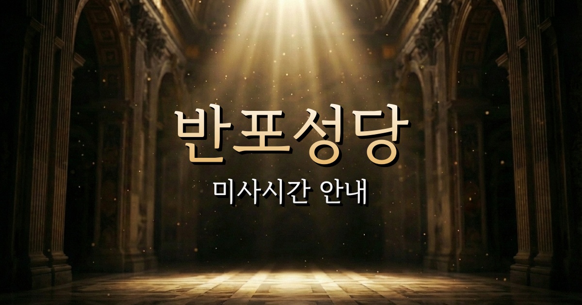 반포성당 미사시간 | 서울대교구 3