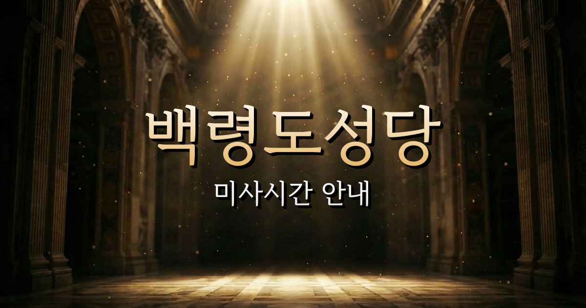 백령도성당 미사시간 | 대전교구 2