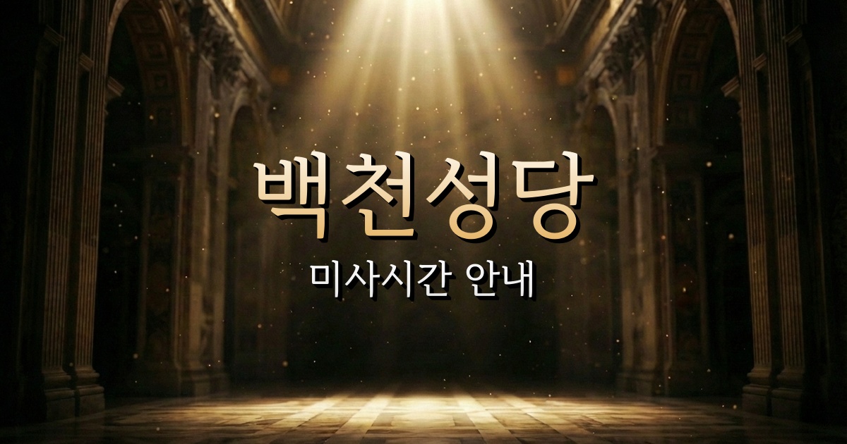 백천성당 미사시간 안내 | 대구대교구 10