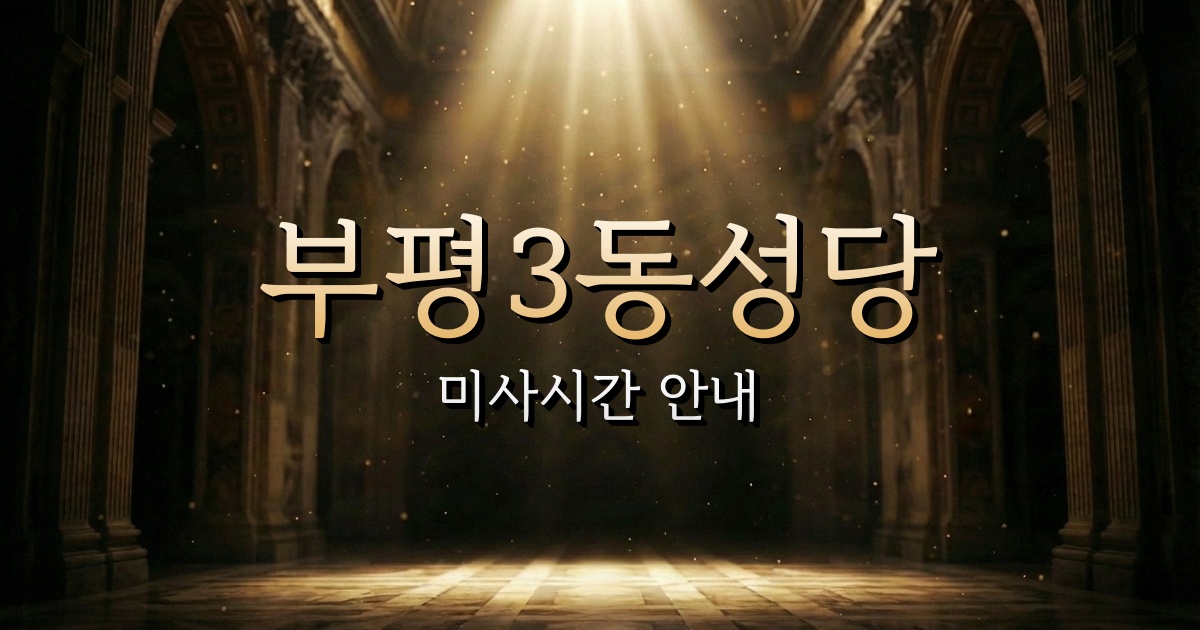 부평3동성당 미사시간 | 인천교구 1