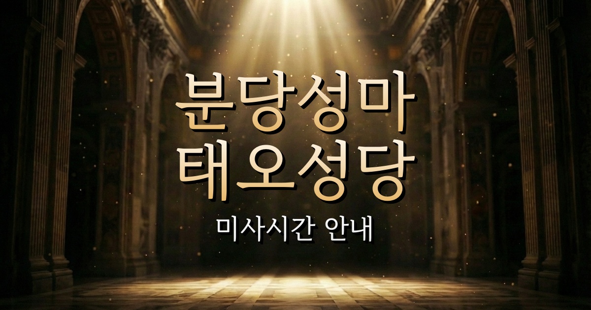 분당성마태오성당 미사시간 | 수원교구 1