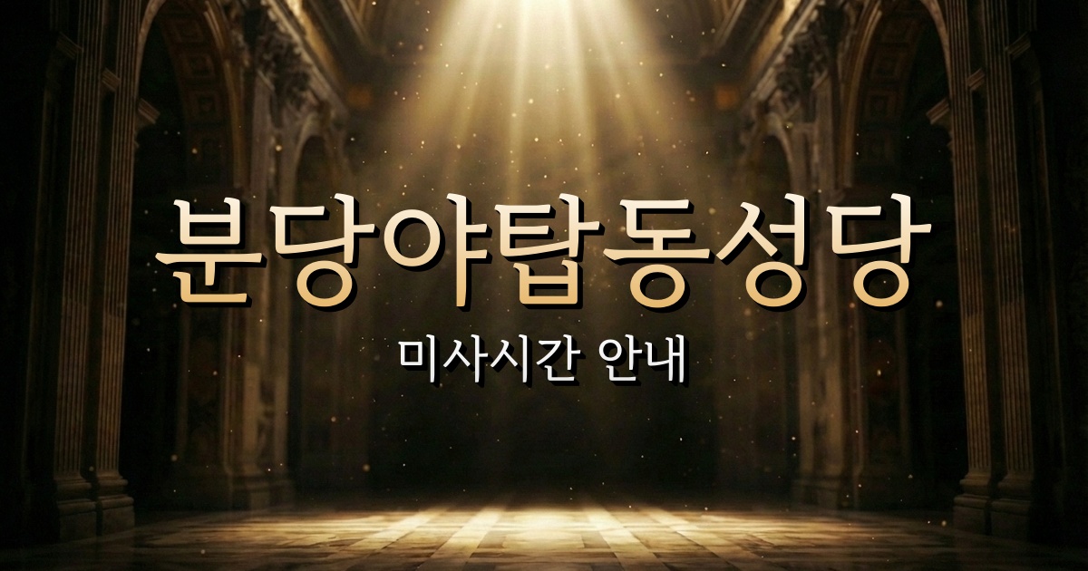 분당야탑동성당 미사시간 | 수원교구 2