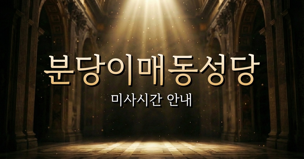 분당이매동성당 미사시간 | 수원교구 1