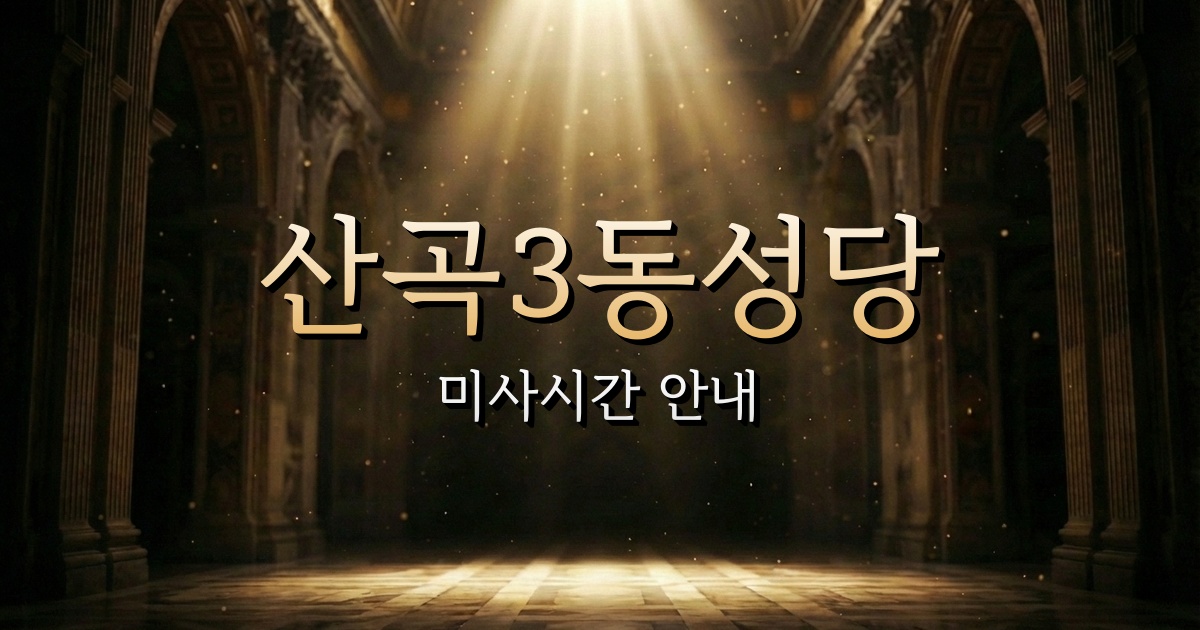산곡3동성당 미사시간 | 인천교구 1