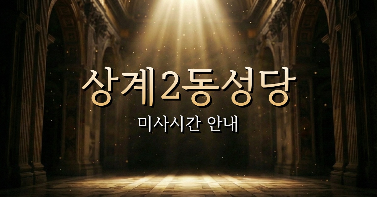 상계2동성당 미사시간 | 서울대교구 1