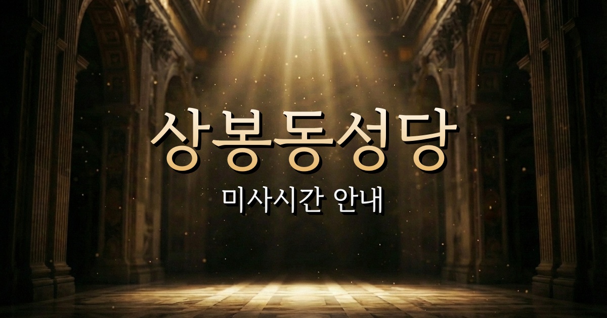 상봉동성당 미사시간 | 서울대교구 1