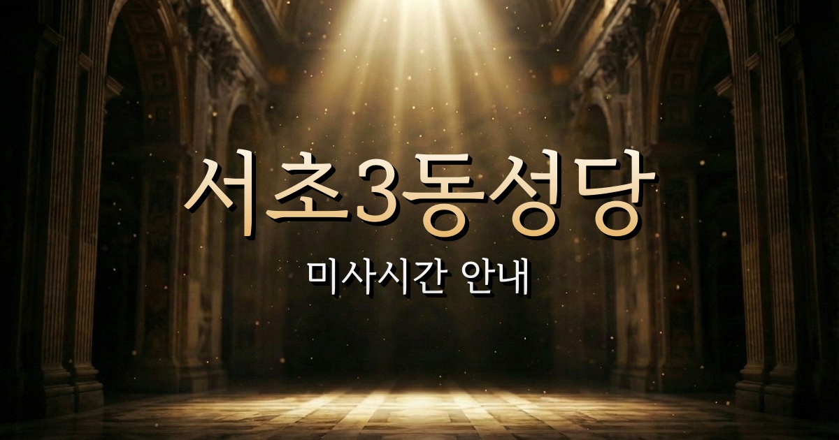 서초3동성당 미사시간 | 서울대교구 1
