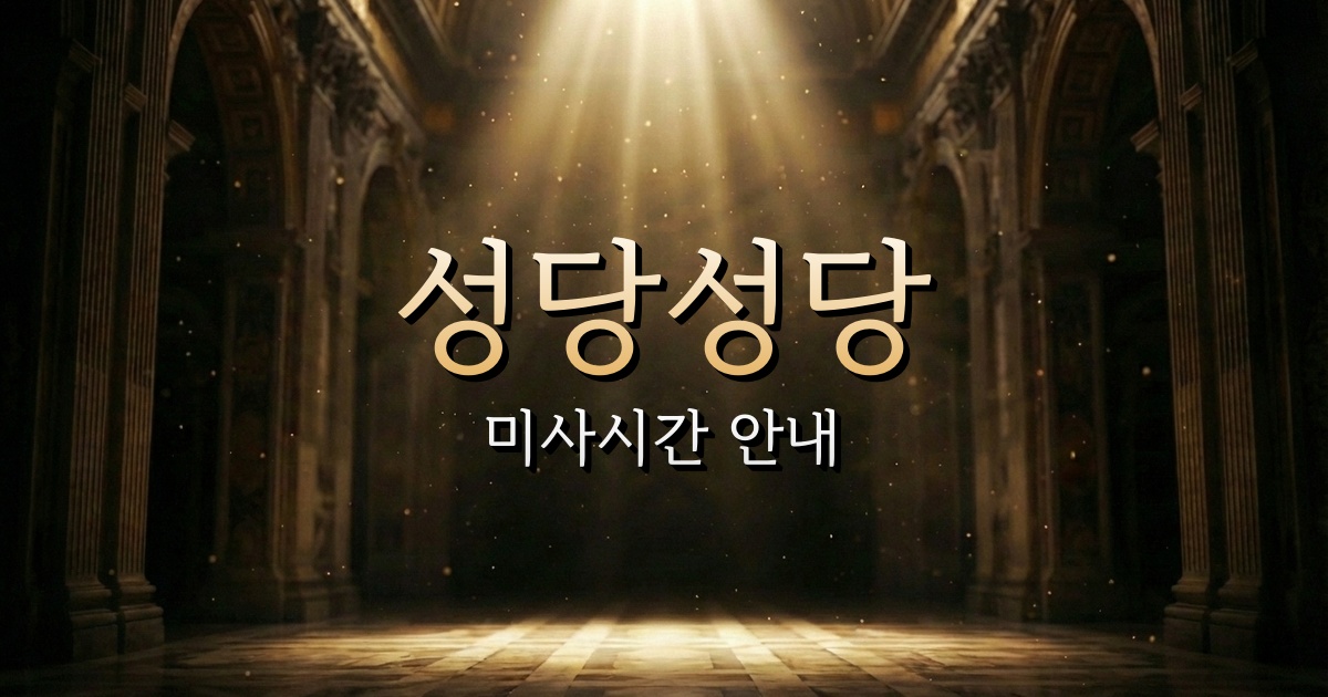 성당 미사시간 | 대구대교구 1