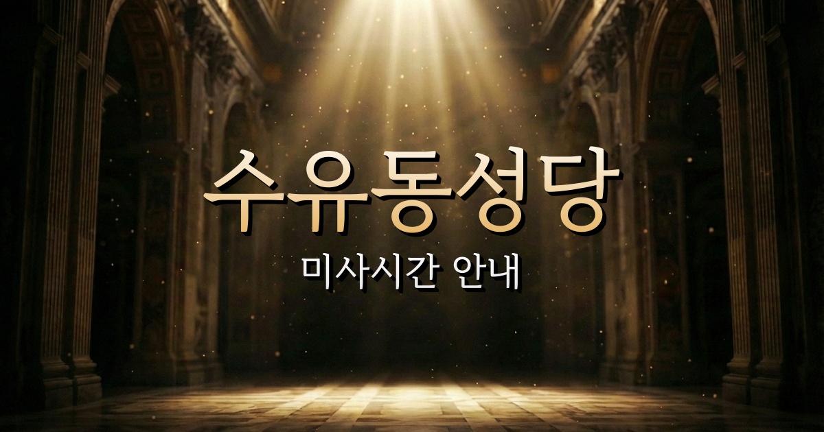 수유동성당 미사시간 | 서울대교구 2