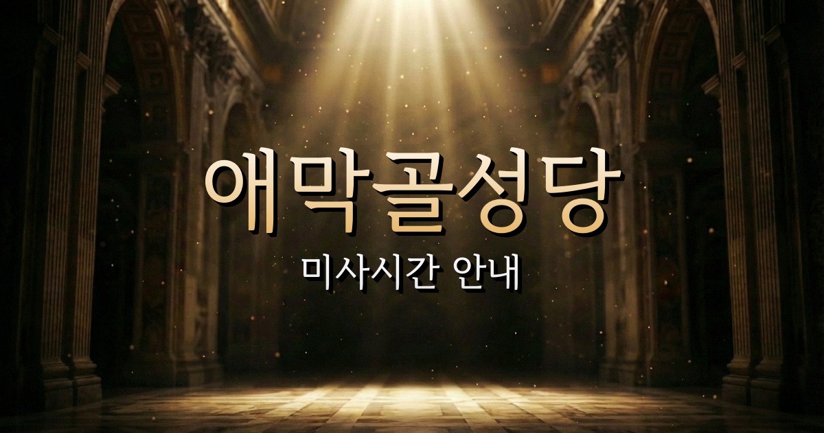 애막골성당 미사시간 | 춘천교구 1