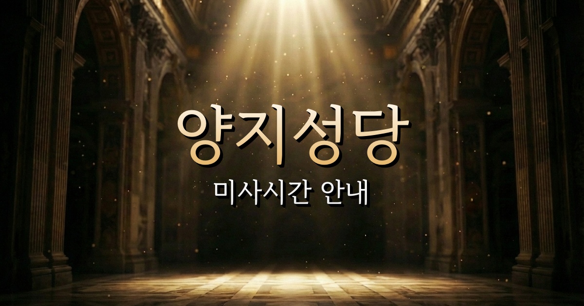 양지성당 미사시간 | 수원교구 1