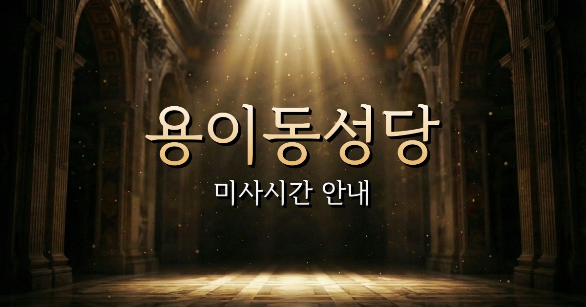 용이동성당 미사시간 안내 | 수원교구 9