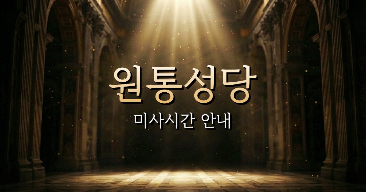 원통성당 미사시간 | 춘천교구 1