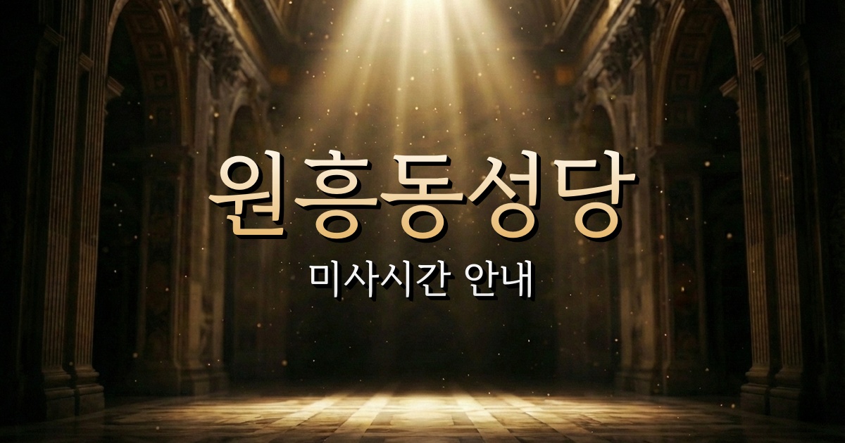 원흥동성당 미사시간 | 의정부교구 1