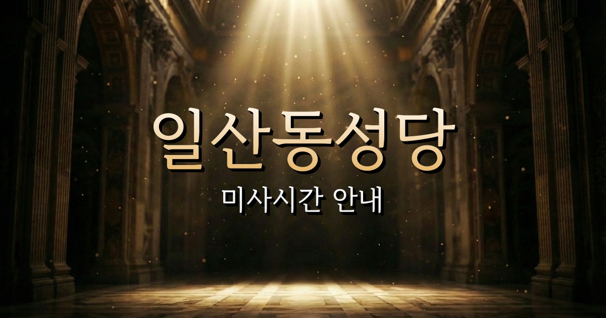 일산동성당 미사시간 | 원주교구 1