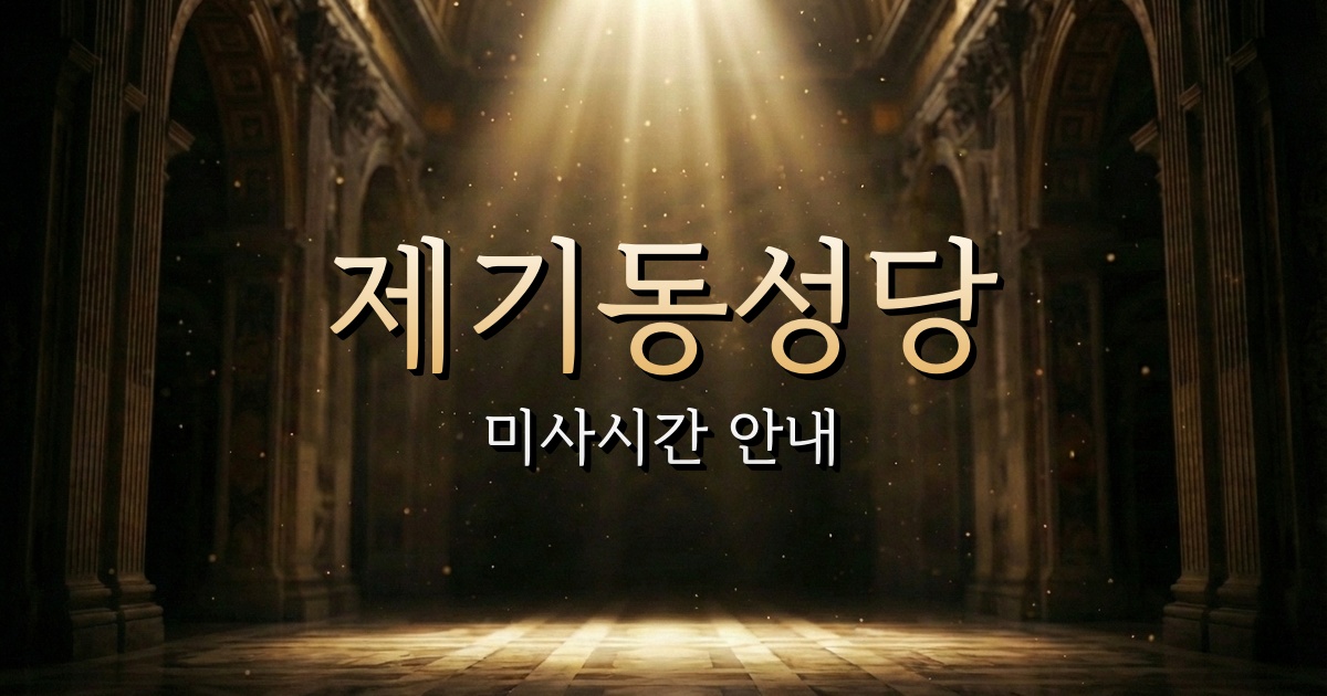 제기동성당 미사시간 | 서울대교구 2