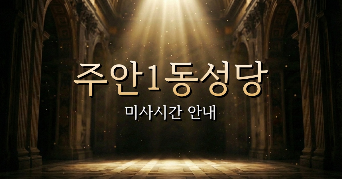 주안1동성당 미사시간 | 인천교구 2