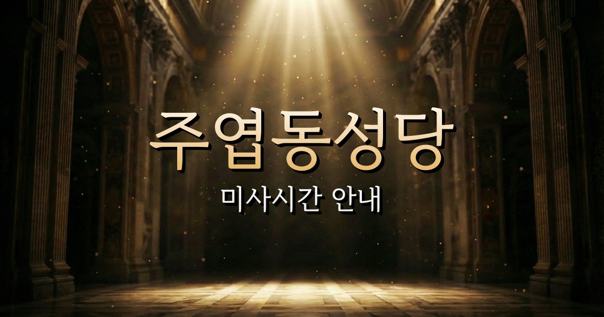 주엽동성당 미사시간 안내 | 의정부교구 1