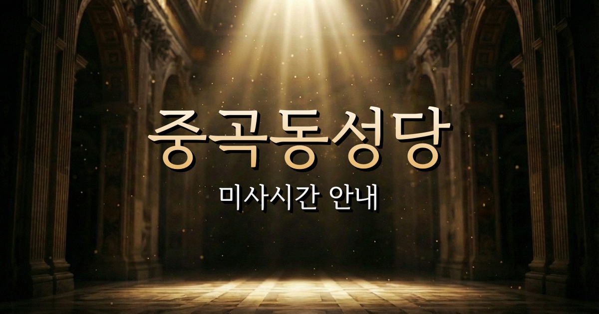 중곡동성당 미사시간 | 서울대교구 2