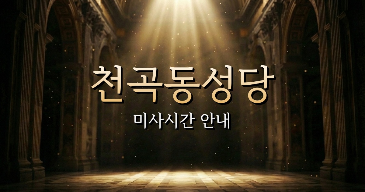 천곡동성당 미사시간 | 원주교구 1