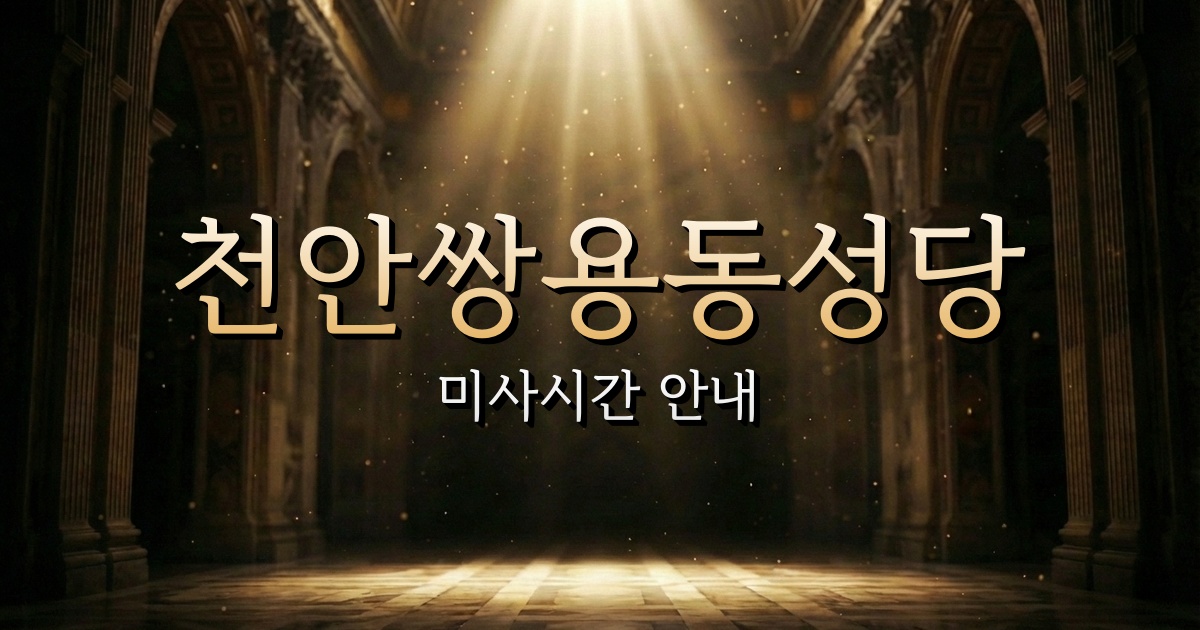 천안쌍용동성당 미사시간 안내 | 대전교구 2