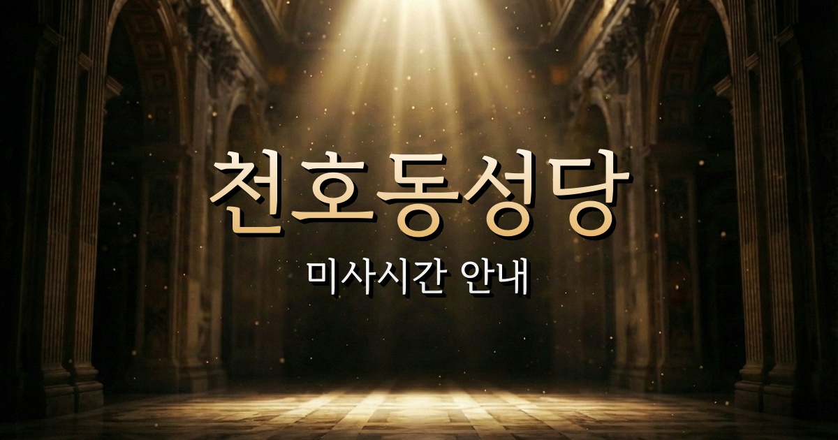 천호동성당 미사시간 | 서울대교구 3