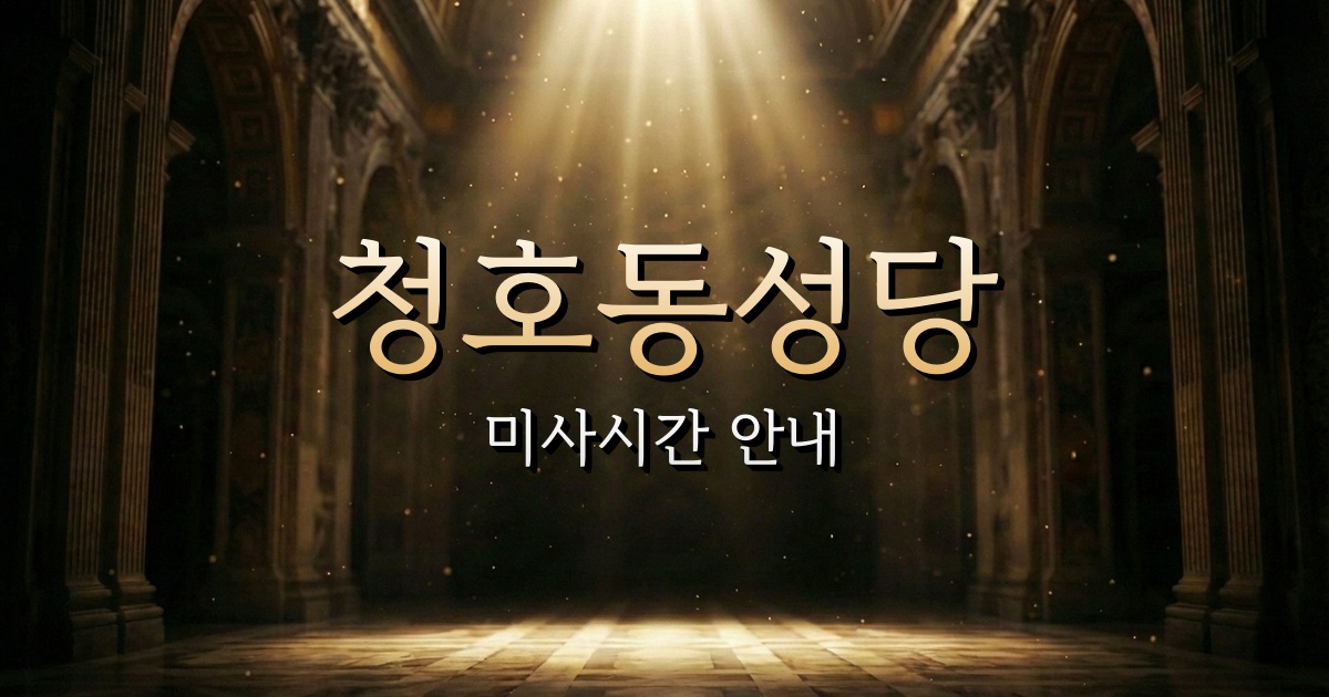 청호동성당 미사시간 | 춘천교구 1