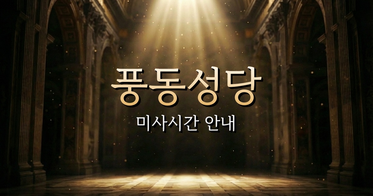 풍동성당 미사시간 | 의정부교구 1
