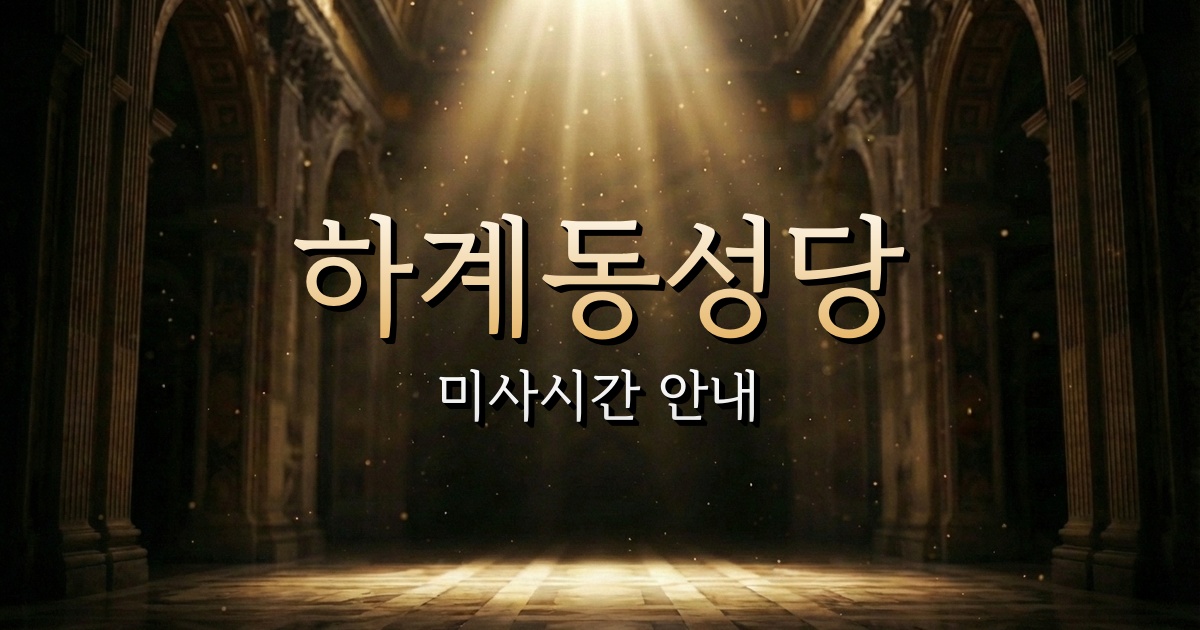 하계동성당 미사시간 | 서울대교구 1