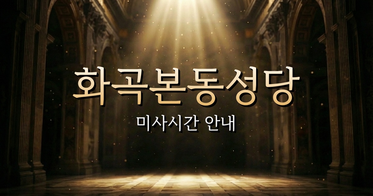 화곡본동성당 미사시간 | 서울대교구 1