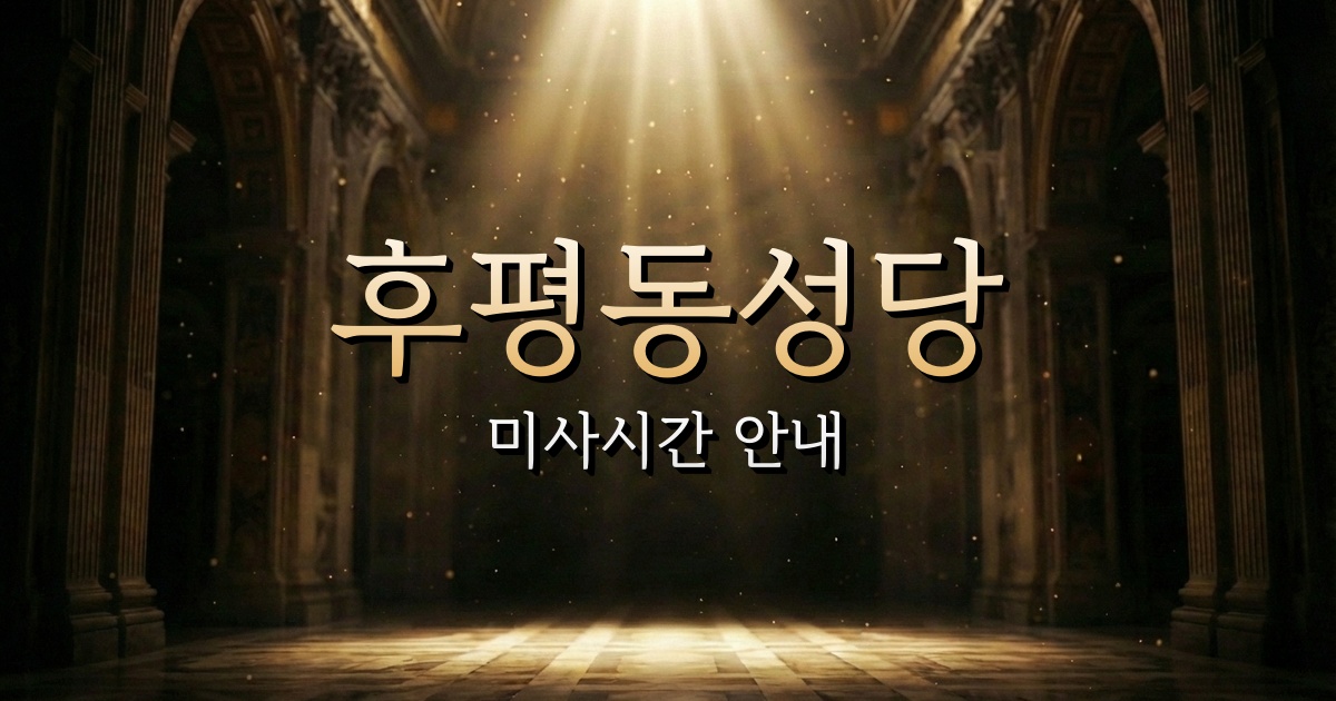 후평동성당 미사시간 | 춘천교구 1