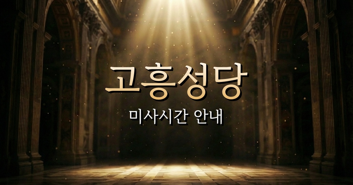 고흥성당 미사시간 | 광주대교구 3