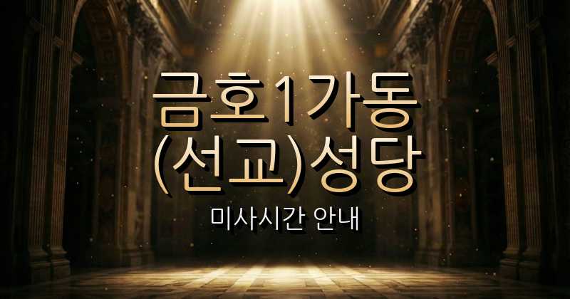 금호1가동(선교)성당 미사시간 1