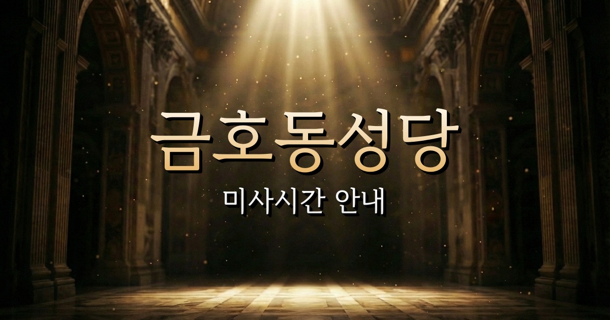 금호동성당 미사시간 | 광주대교구 1