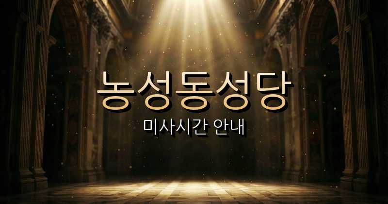 농성동성당 미사시간 | 광주대교구 1