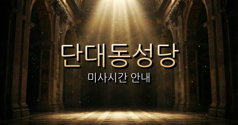 단대동성당 미사시간 안내 | 수원교구 2