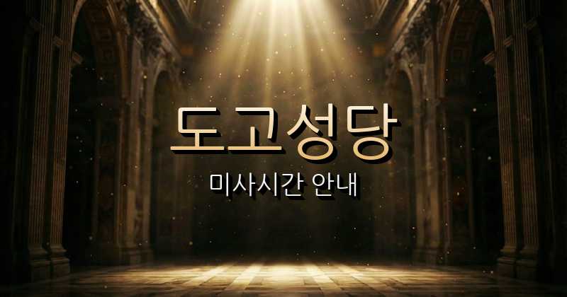 도고성당 미사시간 | 대전교구 1