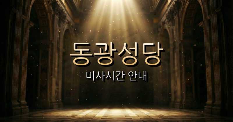 동광성당 미사시간 안내 | 제주교구 2
