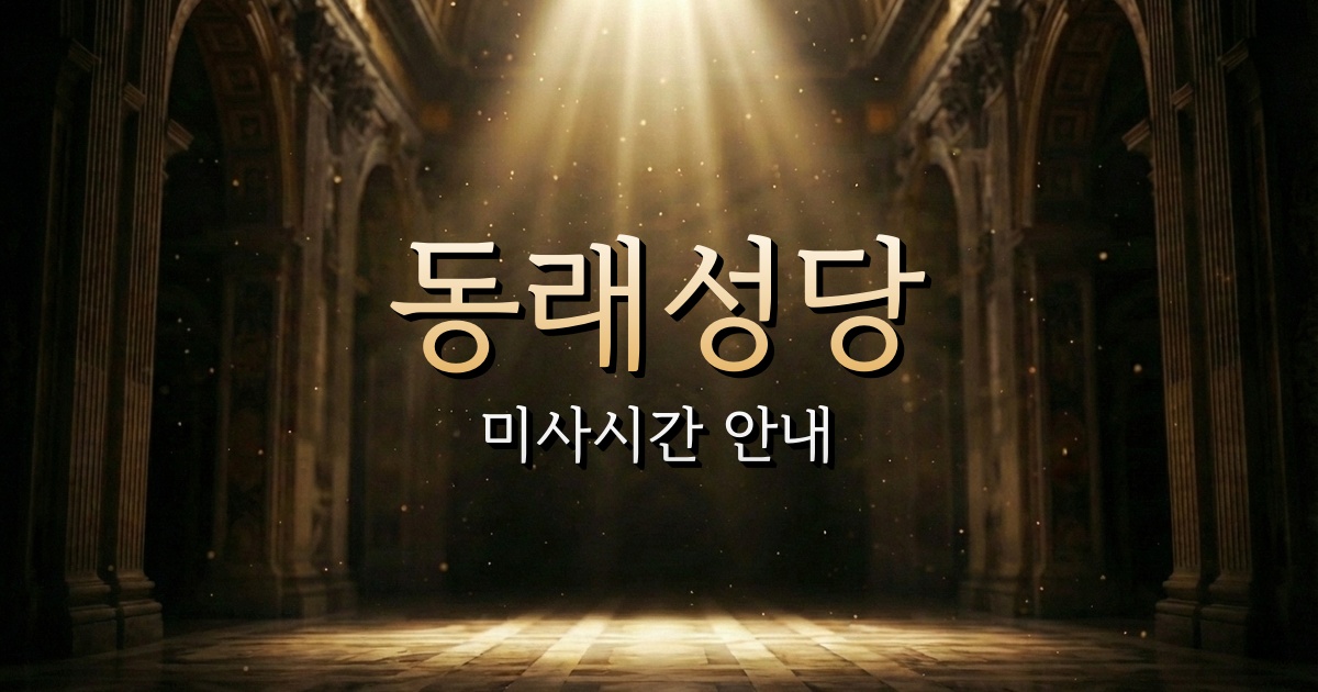 동래성당 미사시간 | 부산교구 2