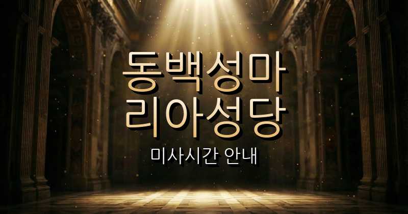 동백성마리아성당 미사시간 1